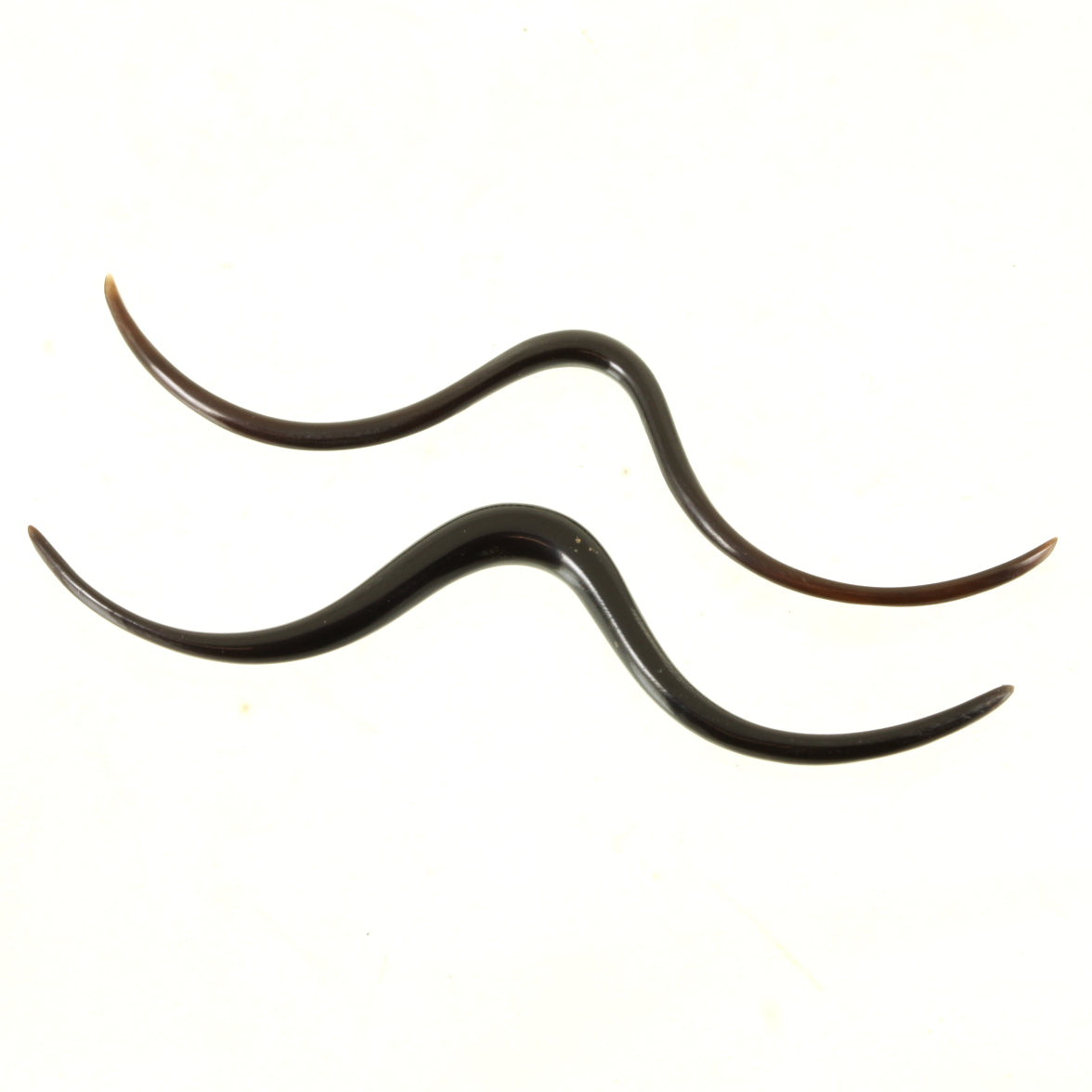 Buffalo Horn Septum Tusk Moustache | 2.5mm (10G) - 3mm (8G) - 4mm (6G)