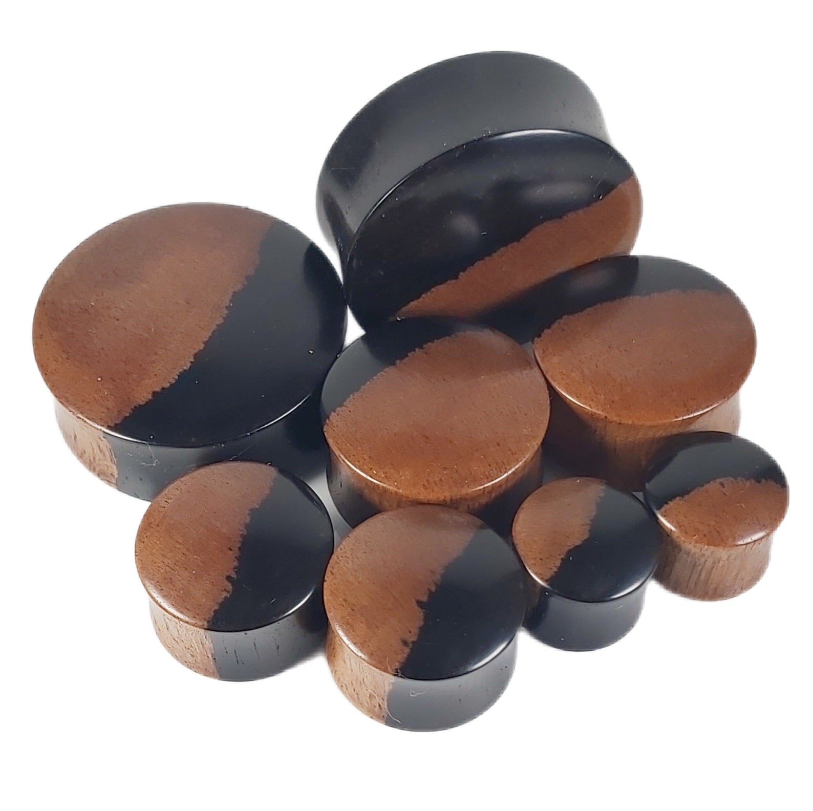 Two-Tone Ebony plugs