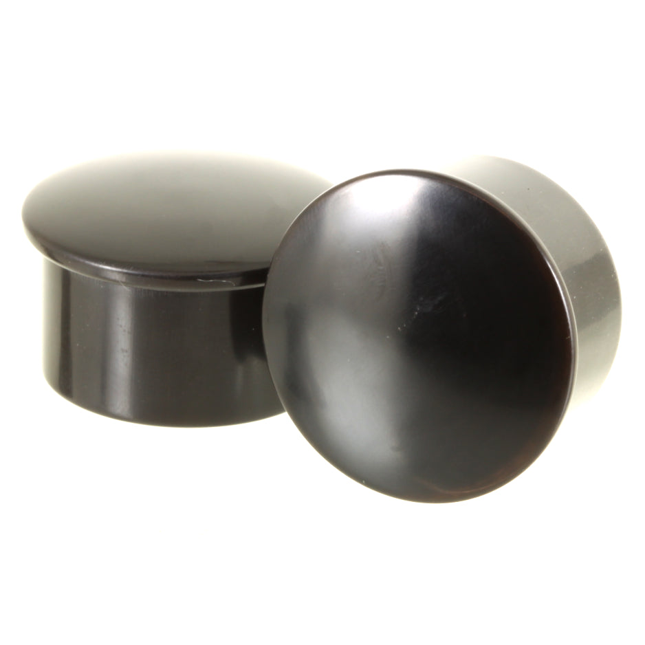 Buffalo Horn Single Flare Plugs | Pair