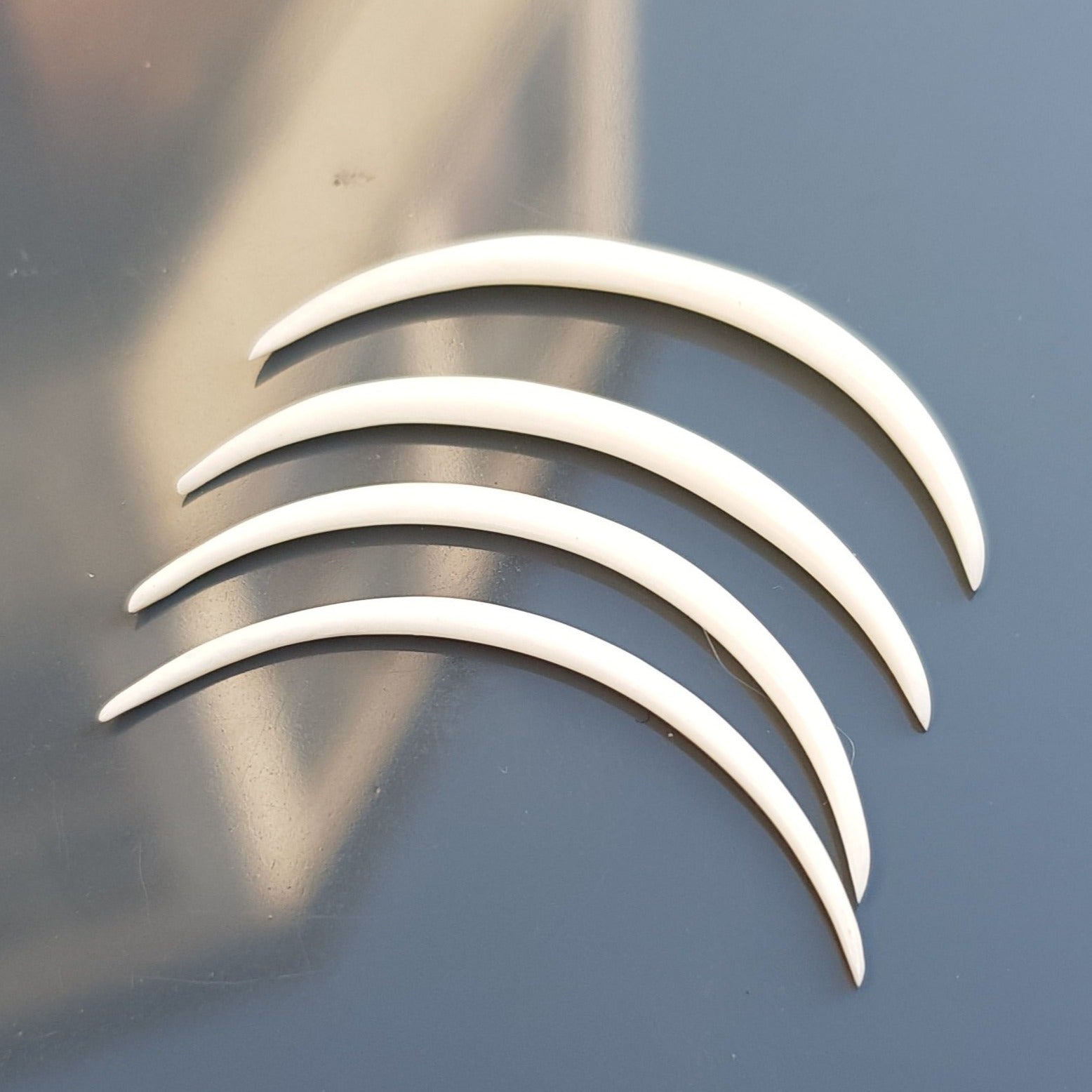 Small Curved Buffalo Bone Tusk  1 Piece