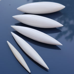 Large Buffalo Bone Tusks
