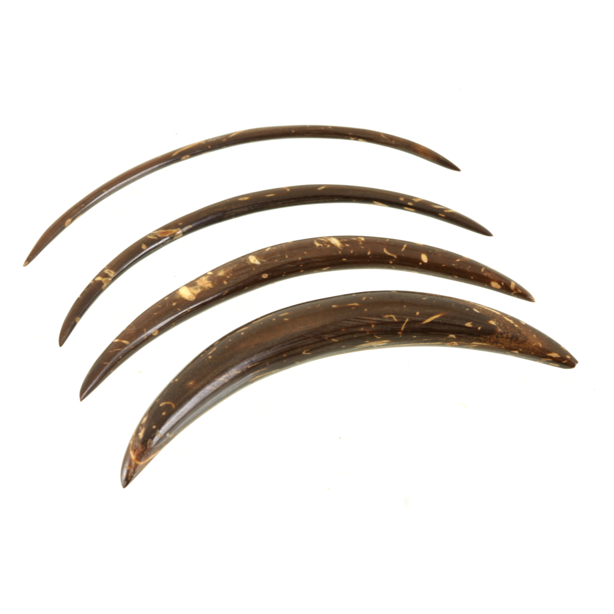 Coconut shell septum tusk