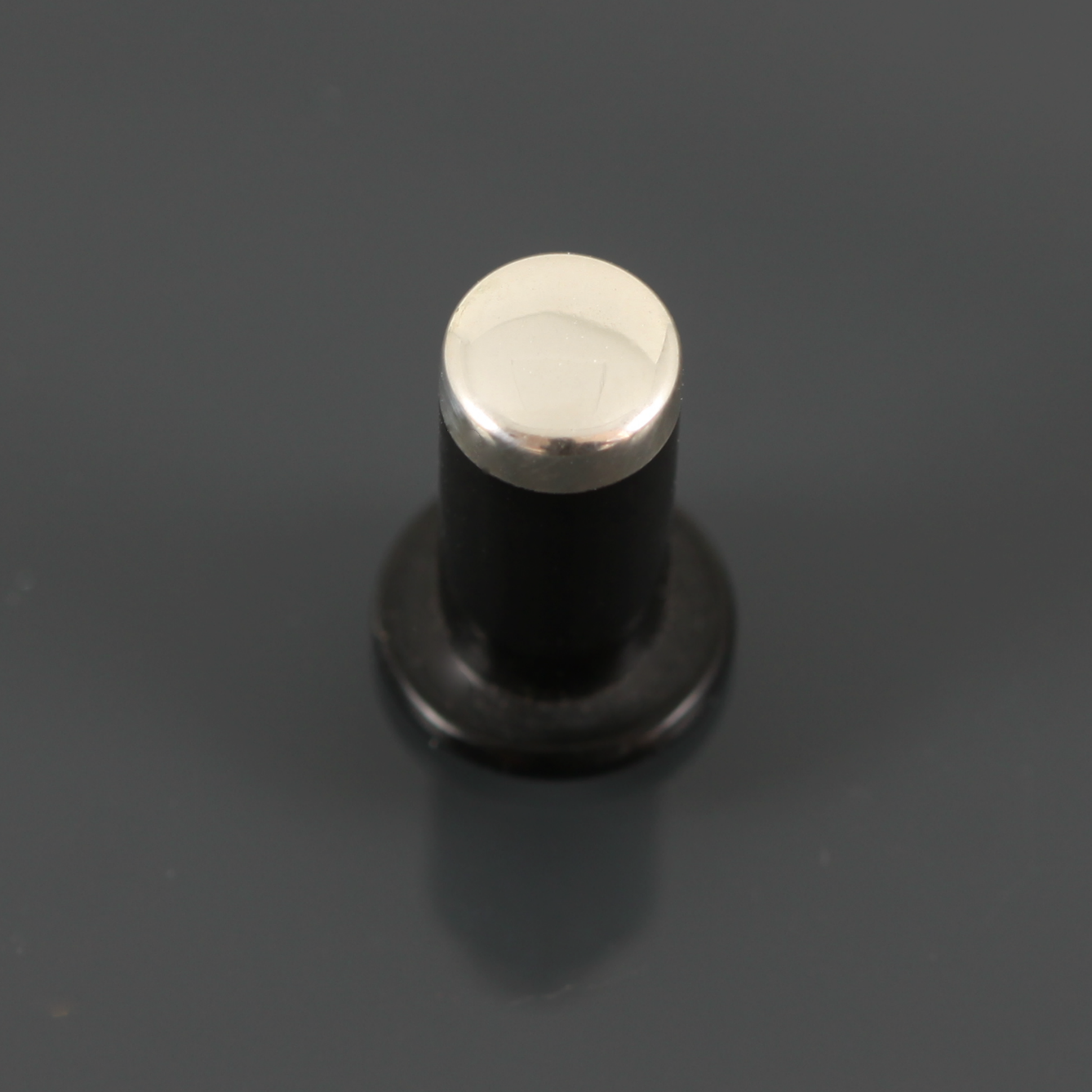 Delrin Philtrum Plug - Sterling Silver Cap