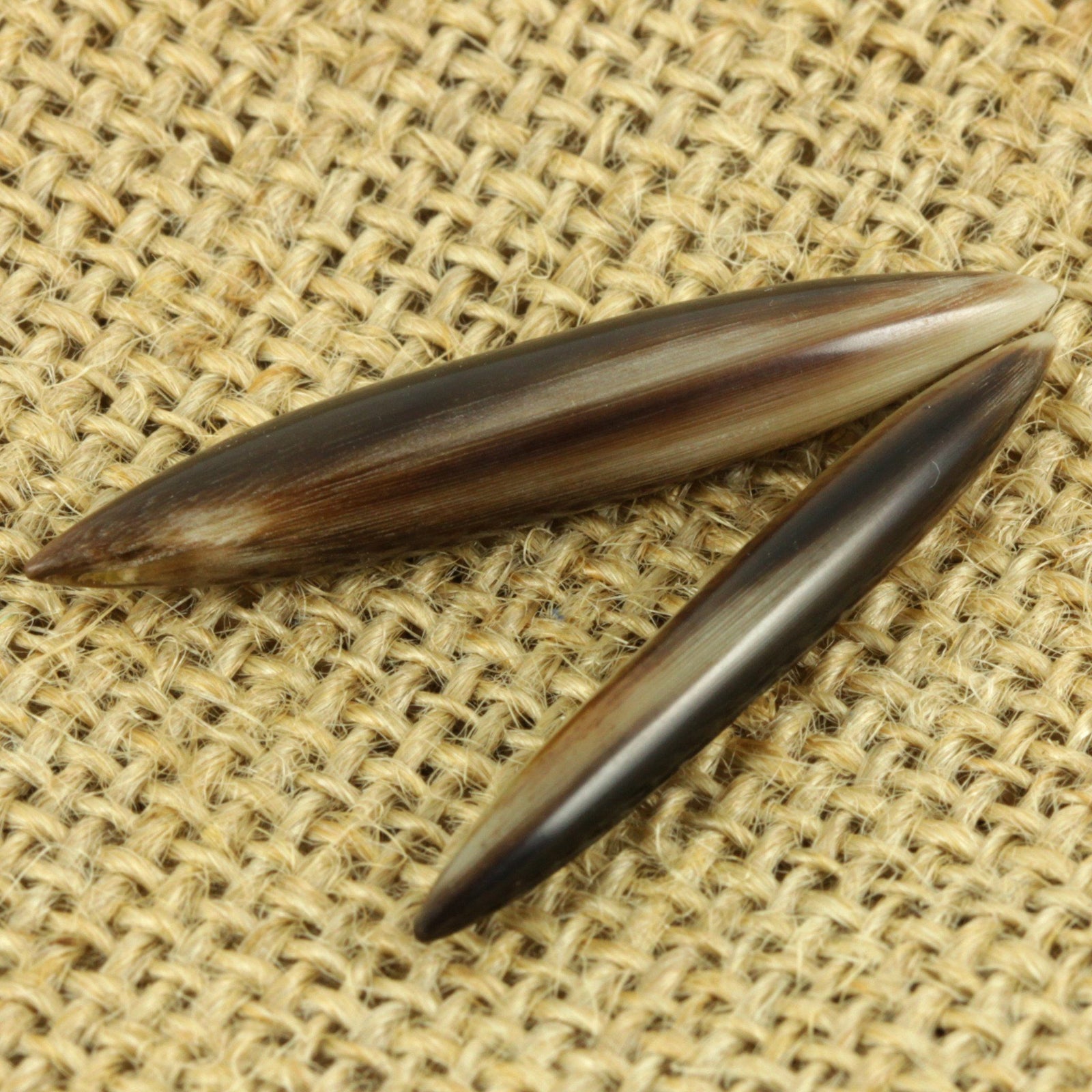 Ox-Horn Septum Tusk | 1 Piece, jewellery, body jewellery. - Southshore Adornments 